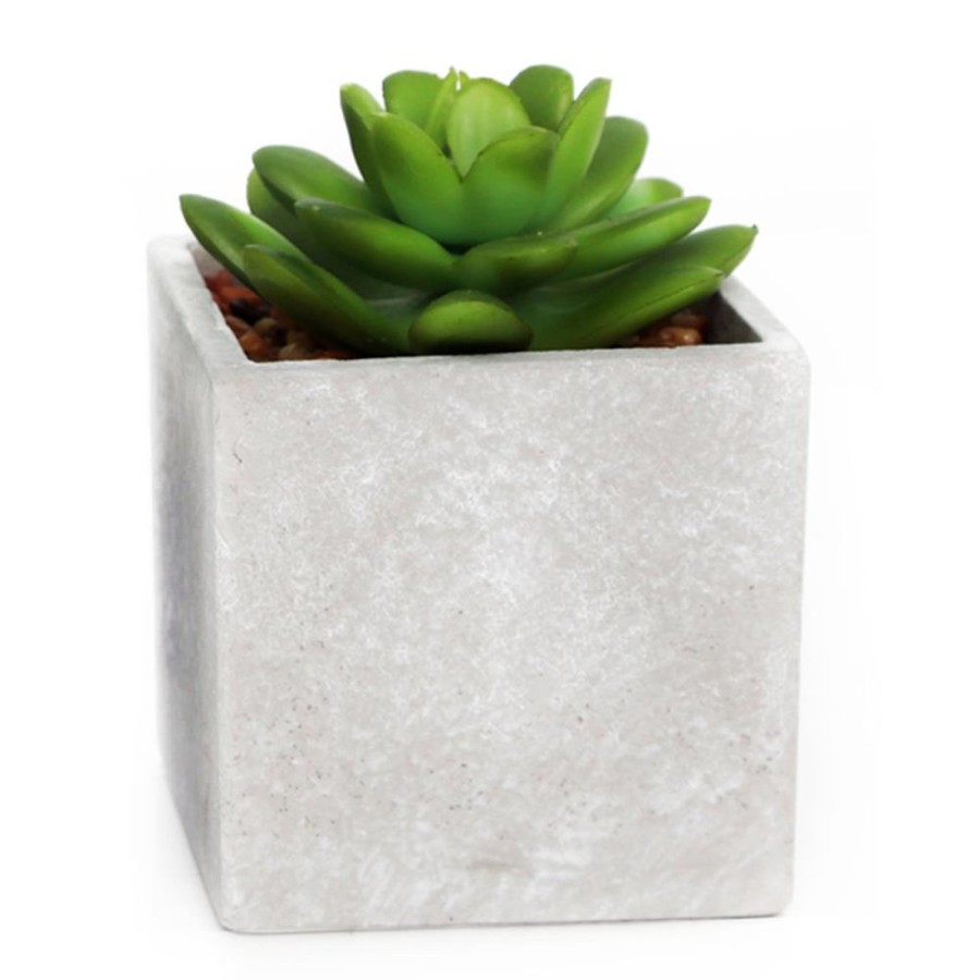 Home Accessories Carousel Shop Vases, Planters & Faux Flowers | Artificial Fake Succulent Cactus Plant With Faux Cement Planter Pot