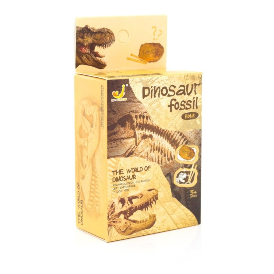 Baby & Child Carousel Shop Arts & Crafts | Childrens Jurassic Dinosaur Fossil Bone Dig Kit | Dinosaur Digging Kit Dinosaur Fossil Dig Up Kit | Mystery Dinosaur Fossils Digging And Excavation Kits