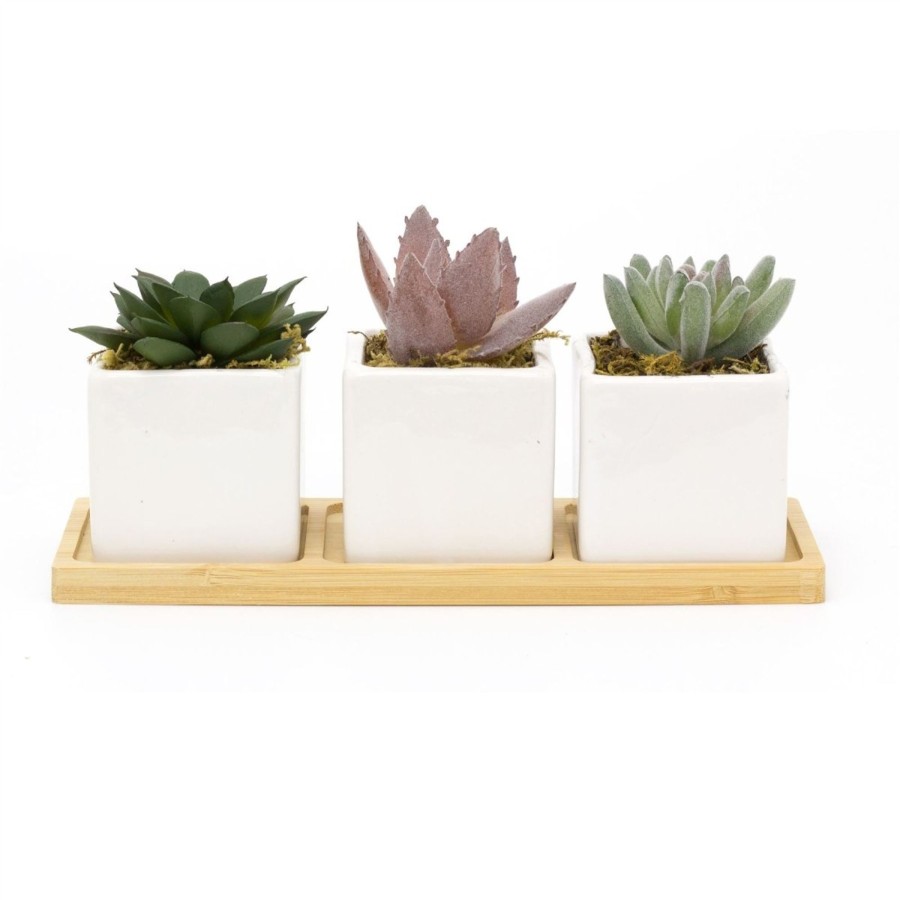 Home Accessories Carousel Shop Vases, Planters & Faux Flowers | 3 Artificial Succulent Plants With Tray | Faux Plant And Ceramic Planter | Fake Plants Cactus Home Decor