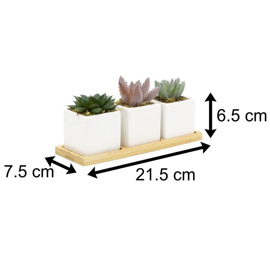 Home Accessories Carousel Shop Vases, Planters & Faux Flowers | 3 Artificial Succulent Plants With Tray | Faux Plant And Ceramic Planter | Fake Plants Cactus Home Decor