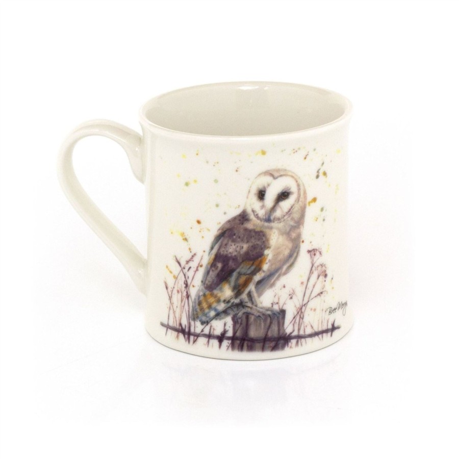 Kitchen & Dining Carousel Shop | Barn Owl Fine China Coffee Cup | Woodland Owl Wildlife Tea Mug For Hot Drinks