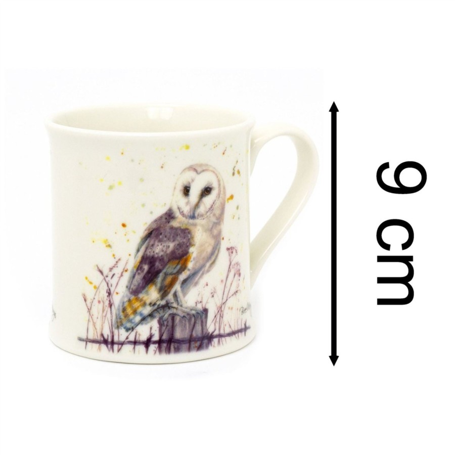 Kitchen & Dining Carousel Shop | Barn Owl Fine China Coffee Cup | Woodland Owl Wildlife Tea Mug For Hot Drinks