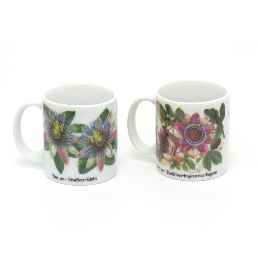 Kitchen & Dining Carousel Shop | Set Of 2 Single Shot 2Oz Ceramic Espresso Cups | 60Ml Botanical Demitasse China Mugs | Mini Coffee Shot Cup Set