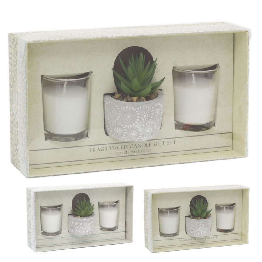 Home Accessories Carousel Shop Candles & Tealights | Aromatherapy Gift Set Scented Candles And Faux Succulent Plant | Fragrance Tealight Candles With Planter | Candle Gift Box - One Supplied