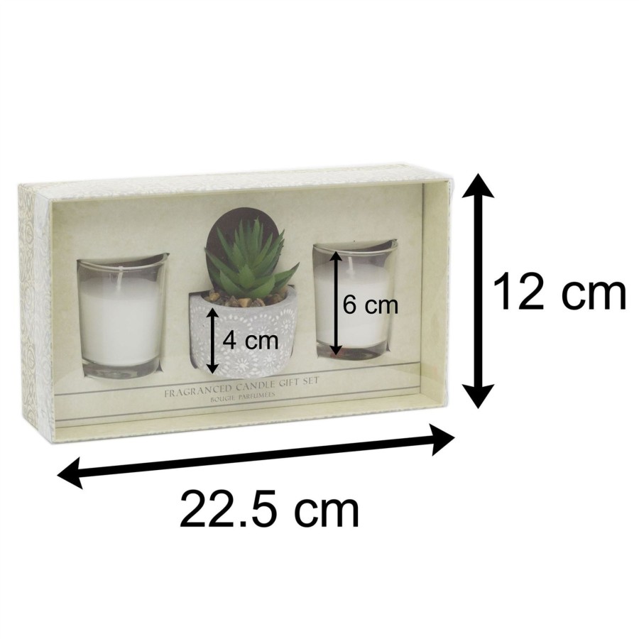 Home Accessories Carousel Shop Candles & Tealights | Aromatherapy Gift Set Scented Candles And Faux Succulent Plant | Fragrance Tealight Candles With Planter | Candle Gift Box - One Supplied