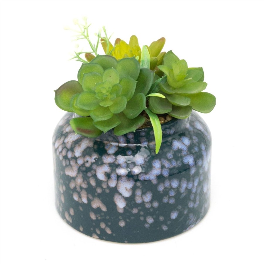 Home Accessories Carousel Shop Vases, Planters & Faux Flowers | Artificial Succulent Potted Plant | Faux Plant And Ceramic Planter | Fake House Plant Home Decor