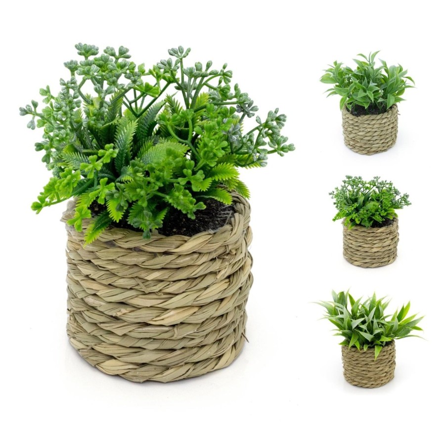 Home Accessories Carousel Shop Vases, Planters & Faux Flowers | 14Cm Artificial Plant In Decorative Rope Planter Small Fake Plant | Plant Pots Indoor Ferns Decorative Artificial Plant | Faux Artificial Potted Plant - Design Varies One Supplied