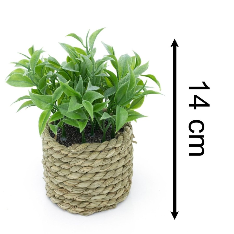 Home Accessories Carousel Shop Vases, Planters & Faux Flowers | 14Cm Artificial Plant In Decorative Rope Planter Small Fake Plant | Plant Pots Indoor Ferns Decorative Artificial Plant | Faux Artificial Potted Plant - Design Varies One Supplied